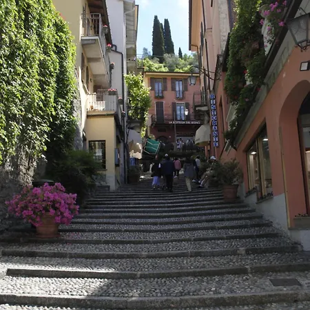 Center Town Apartament *